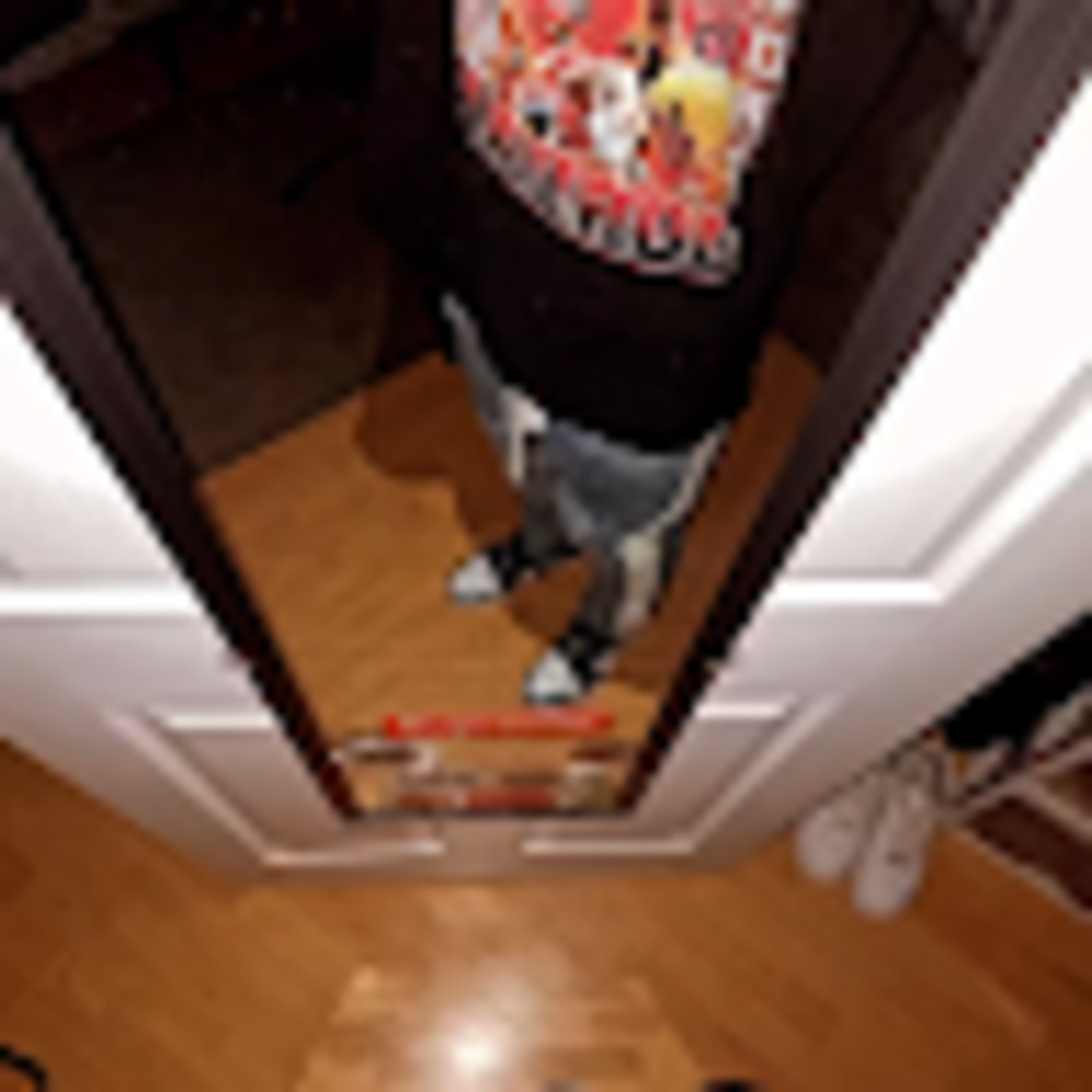 Meet your Posher, Mike